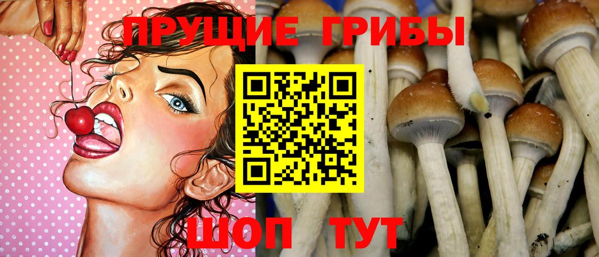 Галлюциногенные грибы ЛСД Химки