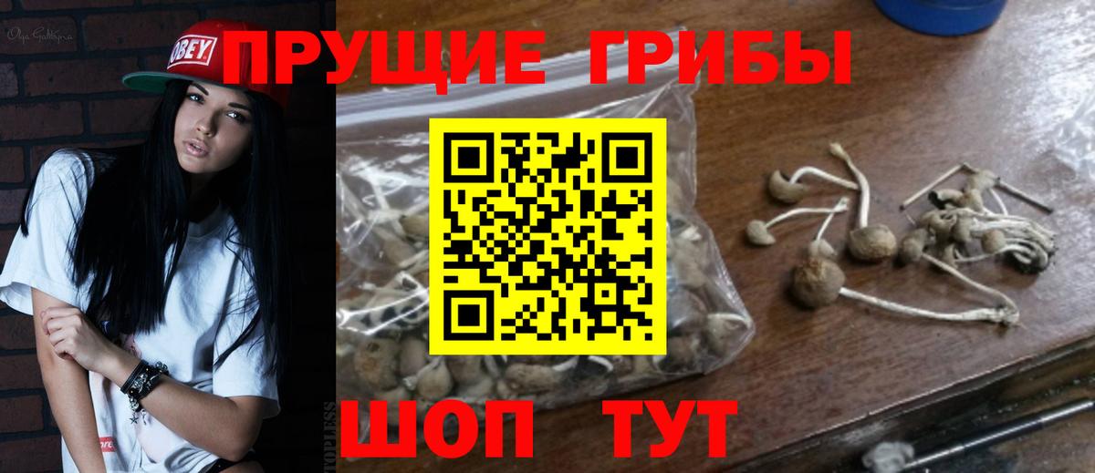 Химки  Псилоцибиновые грибы мицелий  Вход с VPN 